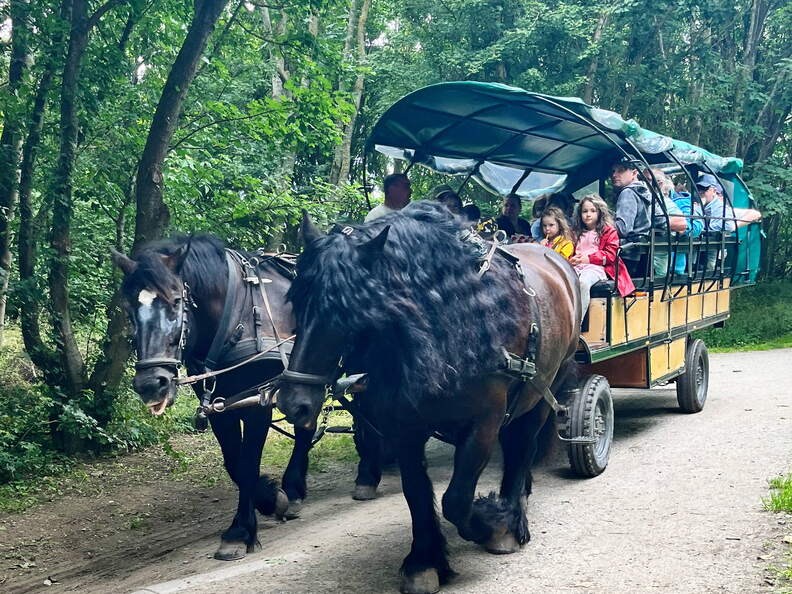 24-07-01 14-03-14 0074